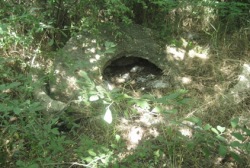 A tatárszentgyörgyi dögtér